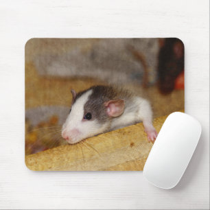 Niedliche Ratte Mousepad