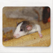 Niedliche Ratte Mousepad (Vorne)