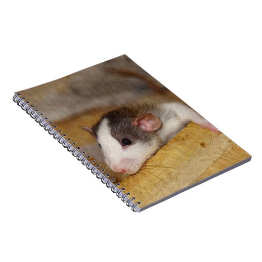 Niedliche Ratte Notizblock (Rechte Seite)