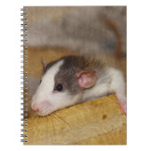Niedliche Ratte Notizblock (Vorderseite)