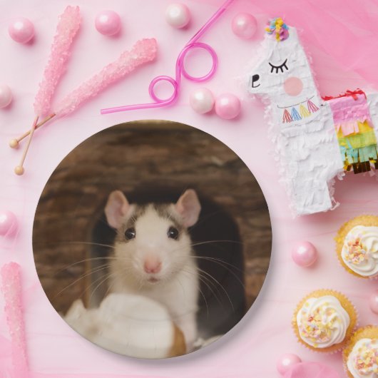 Niedliche Ratte Pappteller (Party)