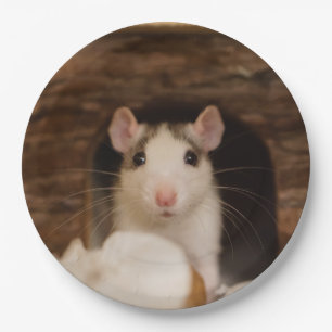 Niedliche Ratte Pappteller