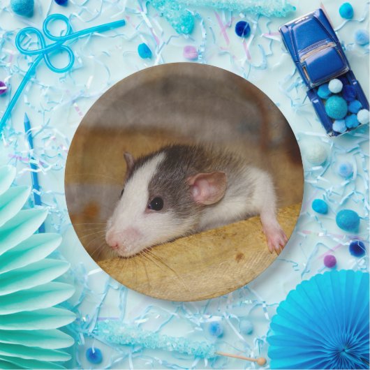 Niedliche Ratte Pappteller (Party)