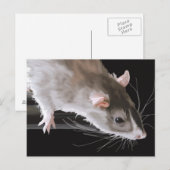 Niedliche Ratte Postkarte (Vorne/Hinten)