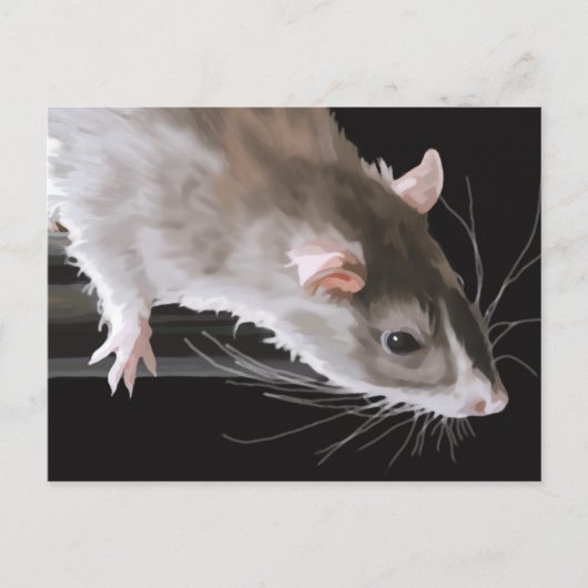 Niedliche Ratte Postkarte (Vorderseite)