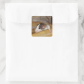 Niedliche Ratte Quadratischer Aufkleber (Tasche)