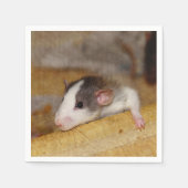 Niedliche Ratte Serviette (Vorderseite)