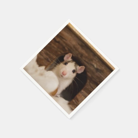 Niedliche Ratte Serviette (Ecke)
