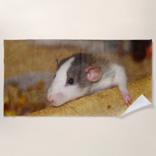 Niedliche Ratte Strandtuch