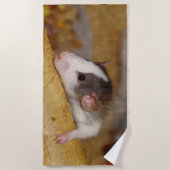 Niedliche Ratte Strandtuch (Vorderseite)