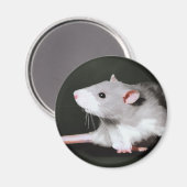 Niedliche Rattenmalerei Magnet (Vorderseite/Rückseite)