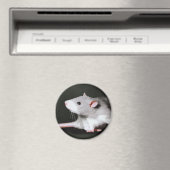 Niedliche Rattenmalerei Magnet (In Situ (Geschirrspüler))