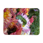 Niedliche Raupe auf dem Bett des Mums Magnet (Horizontal)