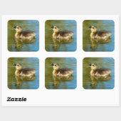 Niedliche Reflexion des Kindlings im Foto Quadratischer Aufkleber (Blatt)