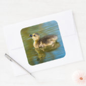 Niedliche Reflexion des Kindlings im Foto Quadratischer Aufkleber (Umschlag)