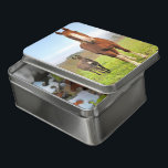 Niedliche Reiter- und Donkey-Freunde von Landtiere Puzzle<br><div class="desc">Dieses atemberaubende Puzzle mit einem Pferd und Esel in einer grünen Wiese,  perfekte Bauernfreunde. #bird #donkey #farm #animal #animal #pet #farmlife #outdoors #jigsaw #puzzle #jigsawpuzzle #gifts #gift #fun #stockingstopffers #games #nature</div>