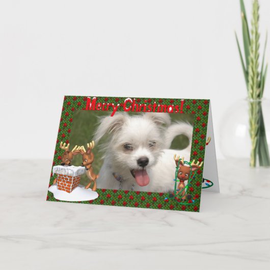 Niedliche Rentier Foto Frame Weihnachtskarte Feiertagskarte (Vorderseite)