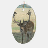 Niedliche Rentiere Keramik Ornament (Links)