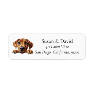 Niedliche Rhodesian Ridgeback Hunde Zucht Heimtier