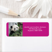 Niedliche Riesenpanda, heiß rosa Rücksendeadresse (Insitu)