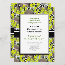 Niedliche Ringschwanzlemuren Madagaskar Jungle Par Einladung