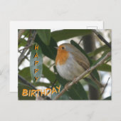 Niedliche Robin & Green Blätter Happy Birthday Pos Postkarte (Vorne/Hinten)