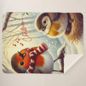 Niedliche Robins, Weihnachten gefroren Sherpadecke (Vorderseite (Horizontal))