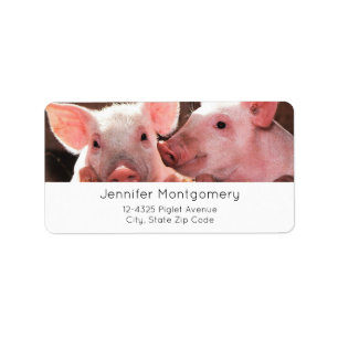 Niedliche rosa Ferkel Tierfotos Adressaufkleber