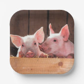 Niedliche rosa Ferkel Tierfotos Pappteller (Vorderseite)