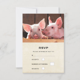 Niedliche rosa Ferkel Tierfotos RSVP Karte