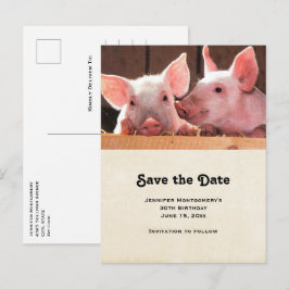 Niedliche rosa Ferkel Tierfotos Save the Date Einladungspostkarte