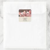 Niedliche rosa Ferkel Tierfotos Save the Date Quadratischer Aufkleber (Tasche)
