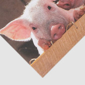 Niedliche rosa Ferkel Tierfotos Seidenpapier (Ausschnitt)