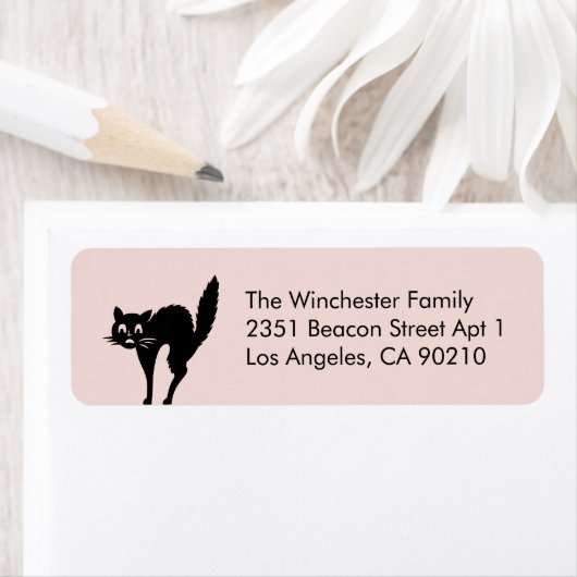 Niedliche Rosa-Katze, mädchenhaft Halloween-Adress (Insitu)