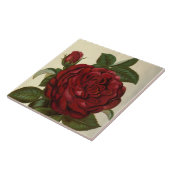 niedliche rote Rose Vintage Einrichtung Fliese (Seite)