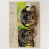 Niedliche Rottweiler Welpen Hunde Tierart Puzzle (Vertikal)