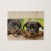 Niedliche Rottweiler Welpen Hunde Tierart Puzzle (Horizontal)