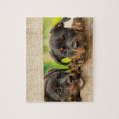 Niedliche Rottweiler Welpen Hunde Tierart Puzzle (Vertikal)