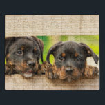 Niedliche Rottweiler Welpen Hunde Tierart Puzzle<br><div class="desc">Dieses niedliche Puzzle aus Puzzles mit zwei Rottweiler Welpen,  die durch ein rustikales Tor schauen. #rottweiler #jigsawpuzzle #stockingstuffers #games #country #gifts #puppy #niedlich #puzzle #jigsaw #stockingstopffers</div>