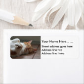 Niedliche Rücksendeadressen-Aufkleber (Insitu)