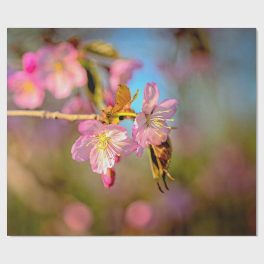 Niedliche Sakura-Blume im Abend Geschenkpapier (Flach)