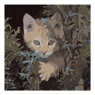 Niedliche Sammlung von Katzen 3 Poster