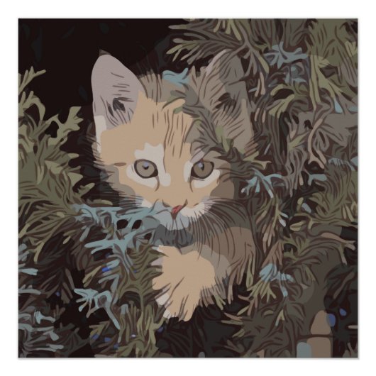 Niedliche Sammlung von Katzen 3 Poster (Vorderseite)