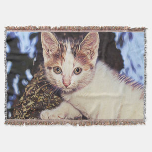 Niedliche Sammlung von Katzen 4 Decke