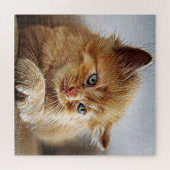 Niedliche Sammlung von Katzen 6 Puzzle (Horizontal)