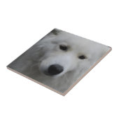 Niedliche Samoyed-Fliese Fliese (Seite)