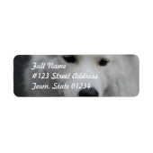 Niedliche Samoyed-Mailing-Labels (Vorne)