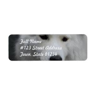Niedliche Samoyedmailings-Aufkleber