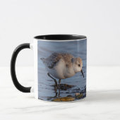 Niedliche Sanderling Sandpiper Forages on Shore Tasse (Links)