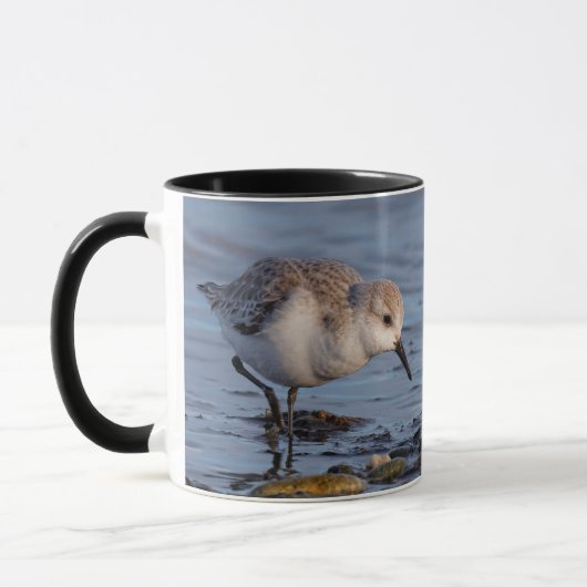 Niedliche Sanderling Sandpiper Forages on Shore Tasse (Links)